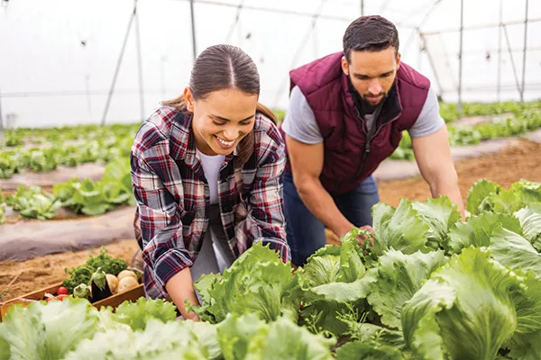 Farming Courses NZ