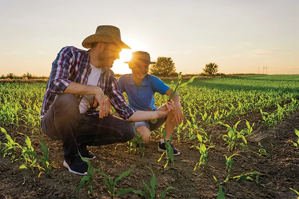 Agriculture NZ