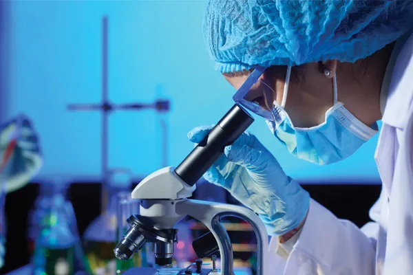 Jobs for Stem Students