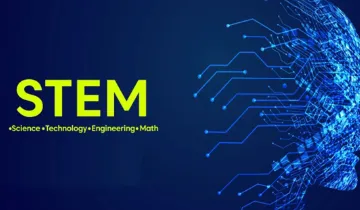 stem