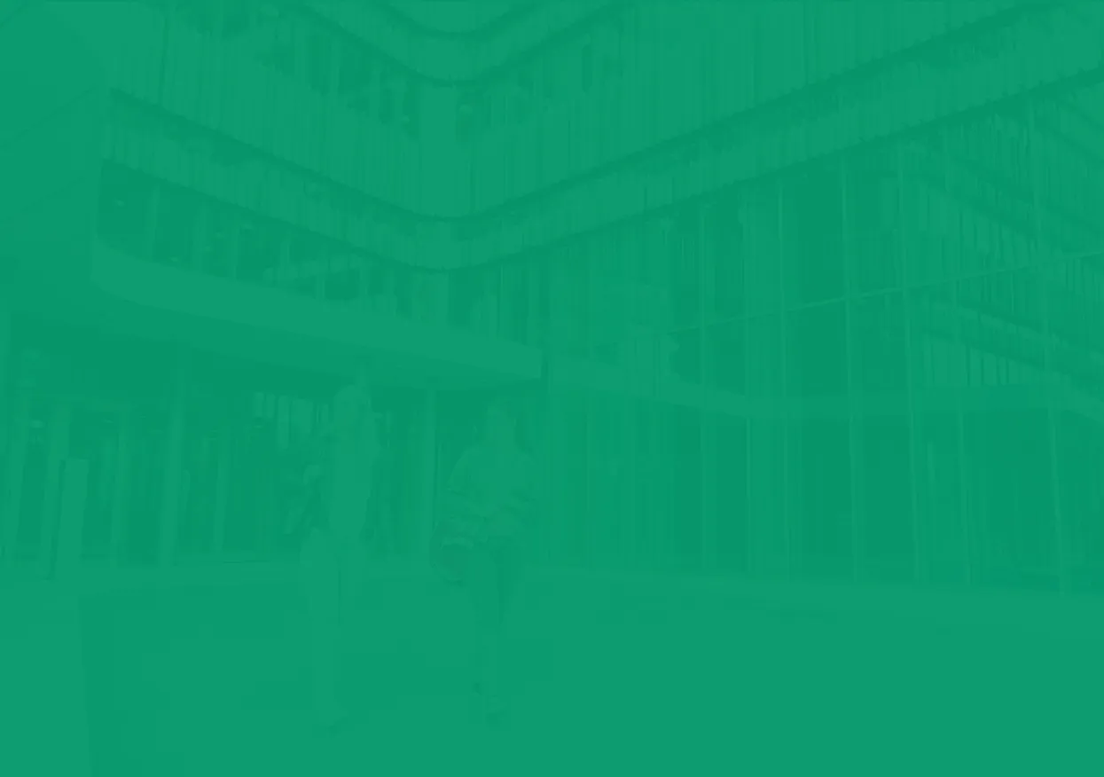 new zealand student pathway